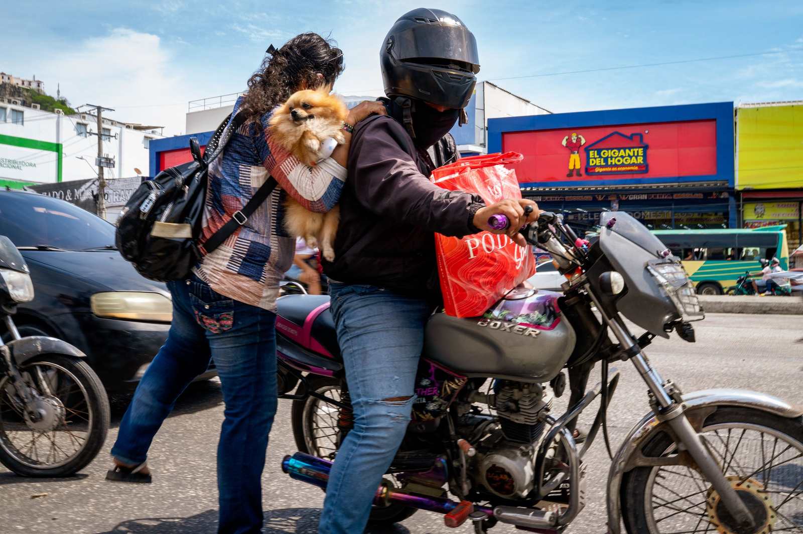 Kobieta ze szpicem miniaturowym na ramieniu i zamaskowany kierowca jadący razem na motocyklu.