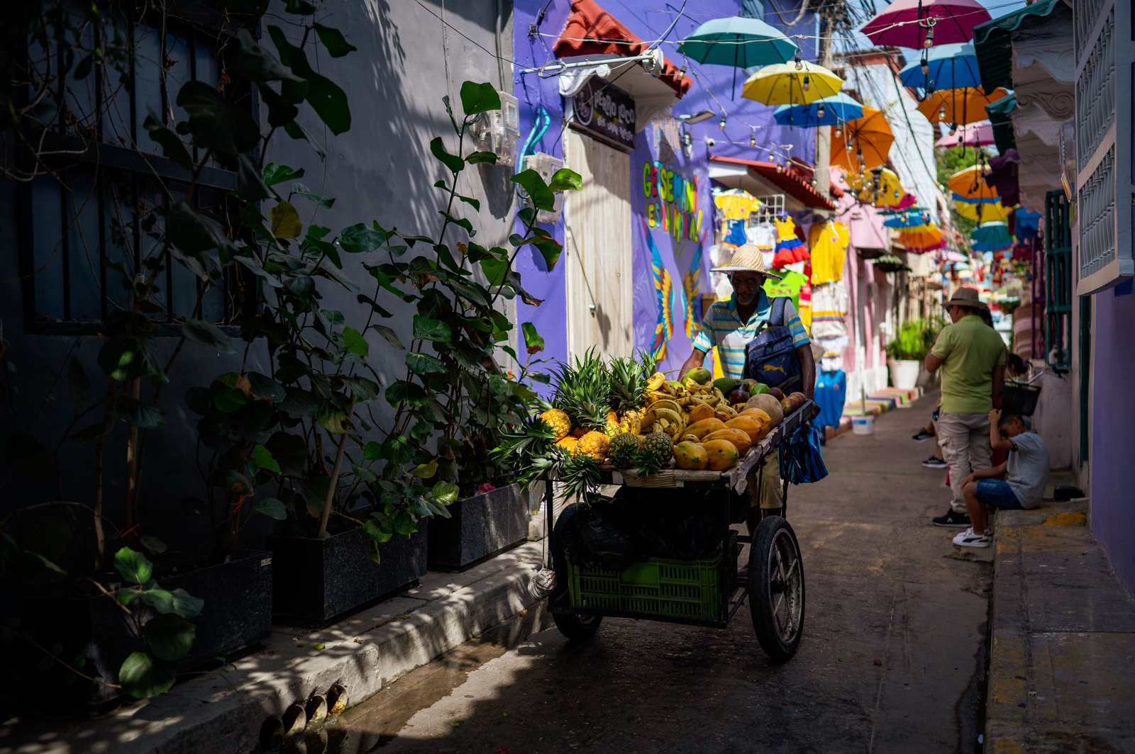 Sprzedawca pchający wózek pełen ananasów i owoców wąską uliczką pod kolorowymi parasolami, Cartagena.